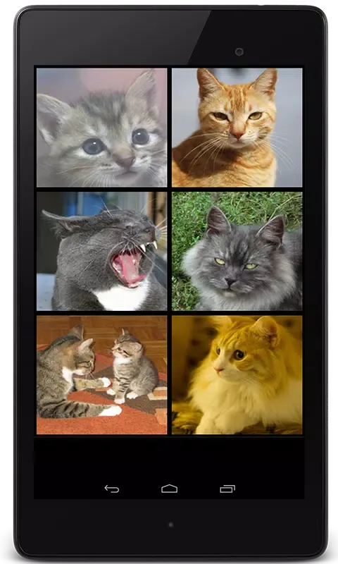 Screenshot di Meow Maker: Cat Sounds for Cat