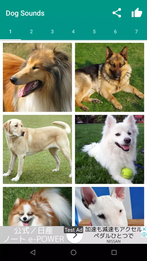 Dog Video Creator (Dog Sounds) Screenshots