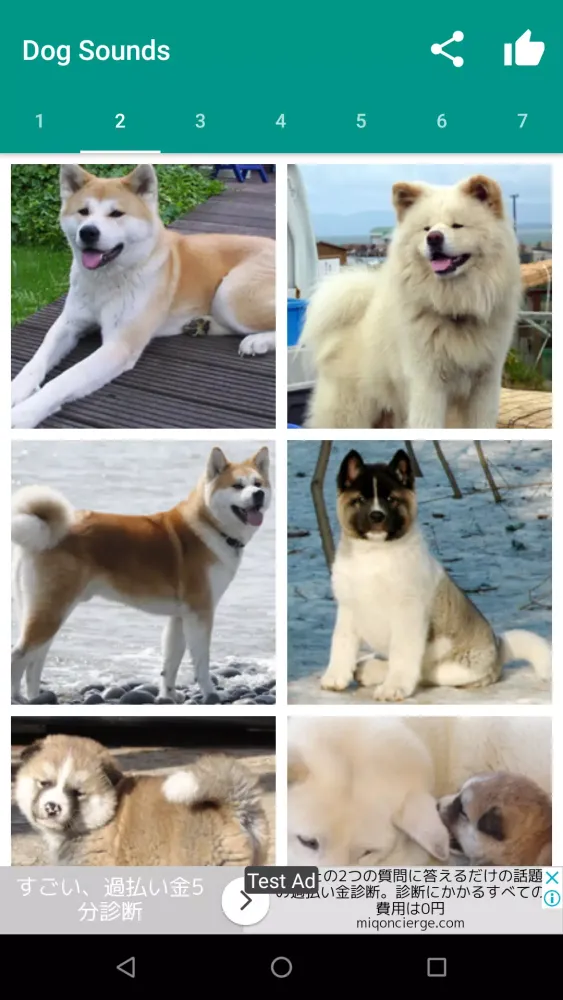 Dog Video Creator (Dog Sounds) Screenshots