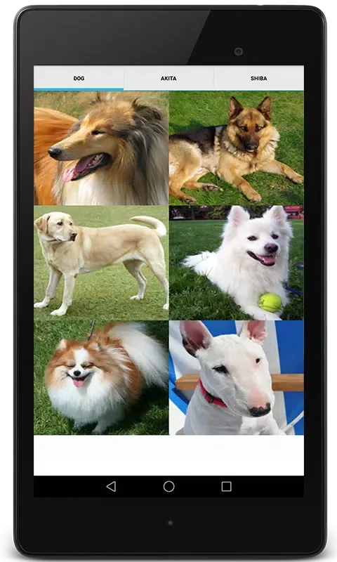Dog Video Creator (Dog Sounds) Screenshots