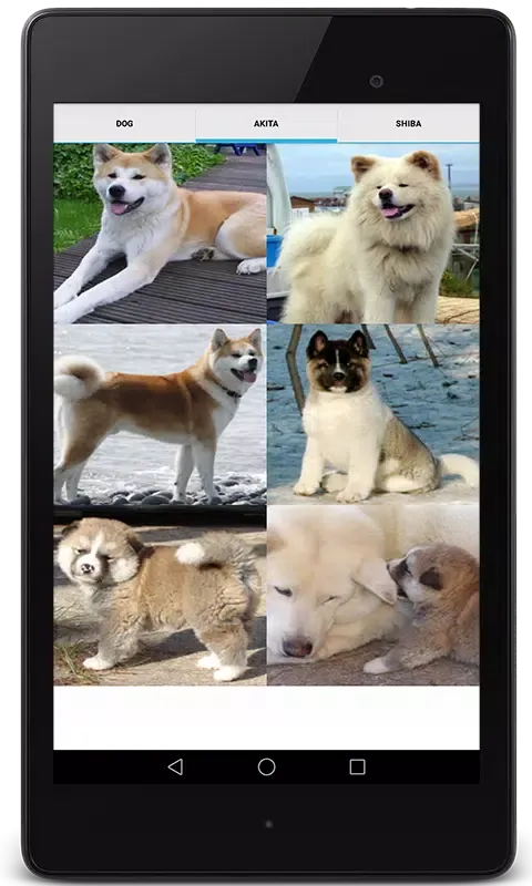 Dog Video Creator (Dog Sounds) Screenshots