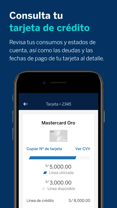 BBVA Perú Ekran Görüntüleri