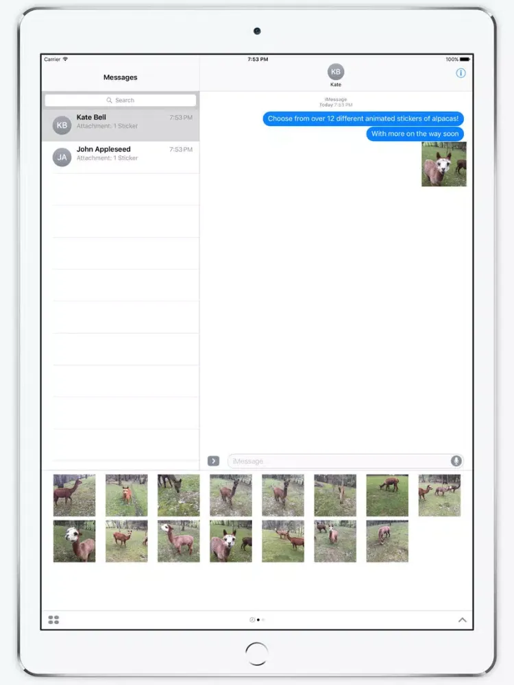 Zrzuty ekranu Alpacas iPad 