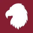 Let's Go Eagles