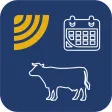 BCF Farm Animal