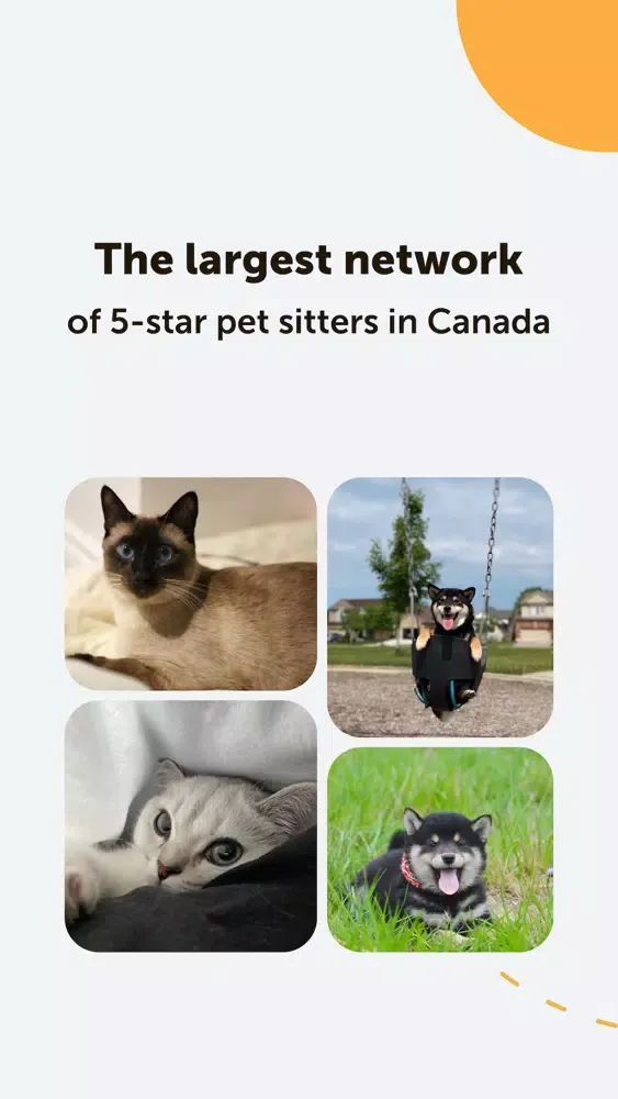AmeniCoco - Dog & Cat Sitters应用截图