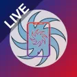 PCSO Lotto Results Guide Live PCSO Lotto Results Guide Live