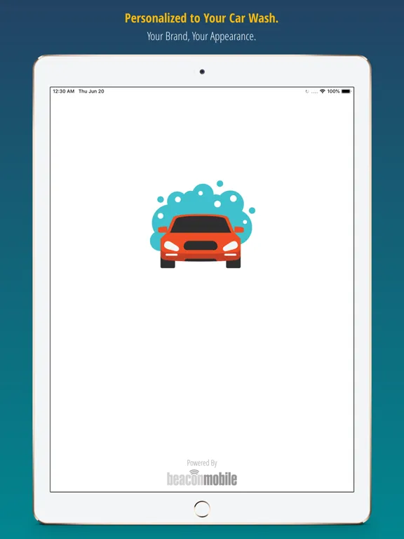 Car Wash Attendant iPad  Ekran Görüntüleri