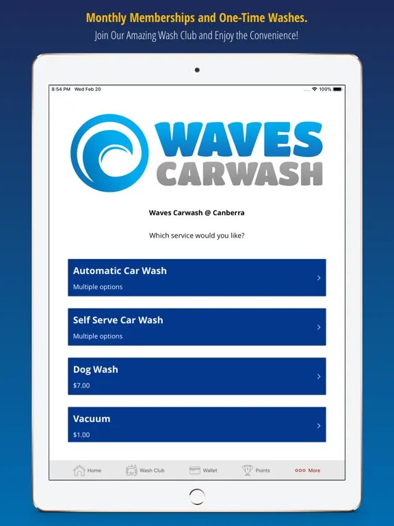 Waves Car Washes iPad  Screenshots