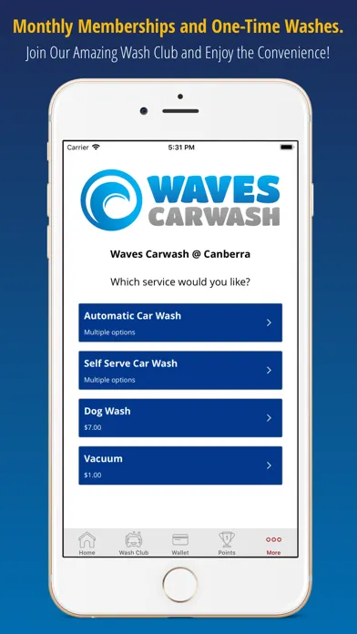 Waves Car Washes Screenshots