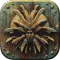 Planescape: Torment: Enhanced