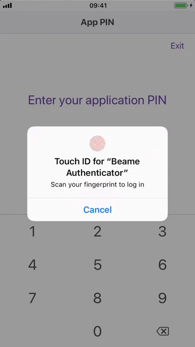 Скриншоты Beame Authenticator