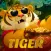 Tigre da sorte jogo