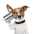 Phone Me Now Please