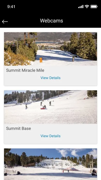 Скриншоты Big Bear Mountain Resort