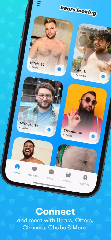 Bears Looking Screenshots
