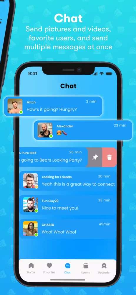 Bears Looking Screenshots
