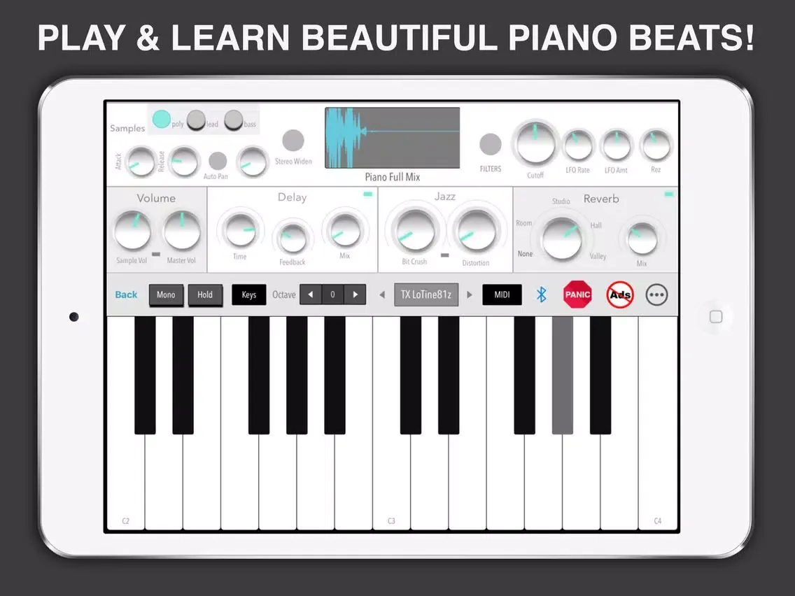 Beats Maker & Easy Piano Pro iPad 应用截图