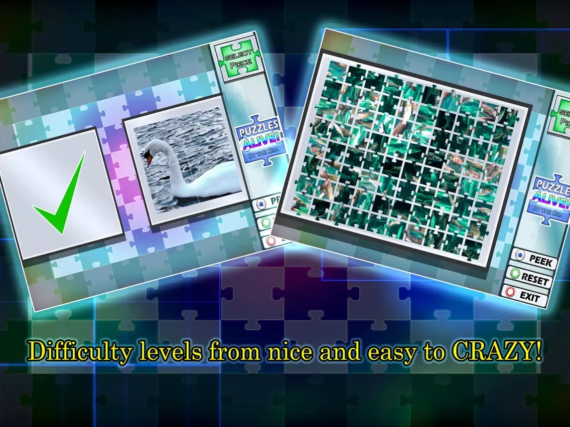 Puzzles Alive! By The Sea iPad  Screenshots