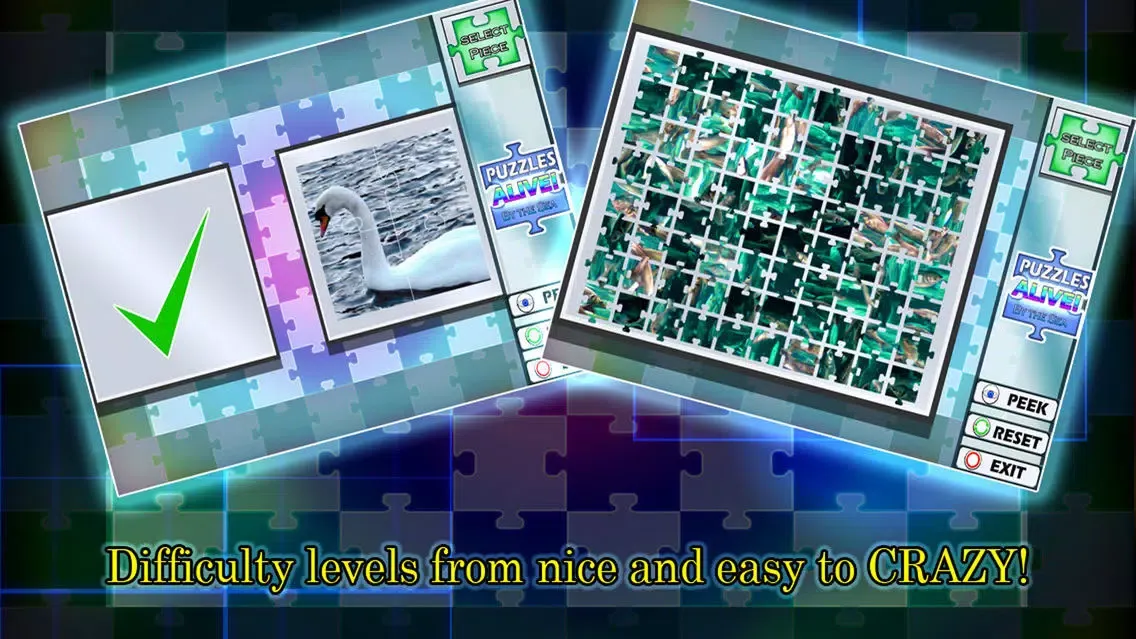 Puzzles Alive! By The Sea Screenshots