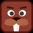 Beaver Blocks Beaver Blocks
