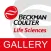 BECLS Gallery