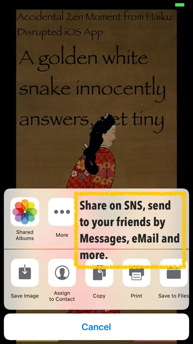 Captures d'écran de Haiku Disrupted