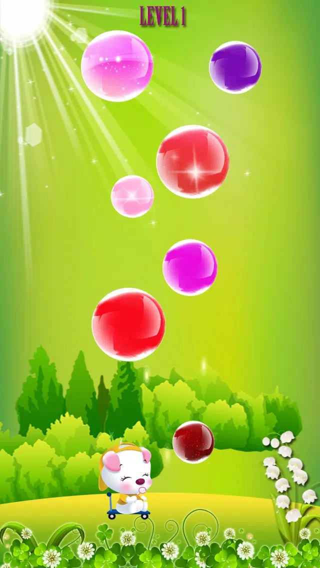تصاویر Bubble Dog
