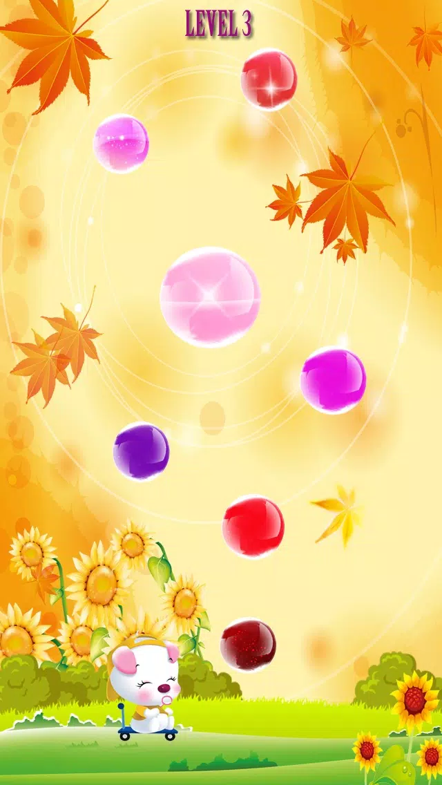 تصاویر Bubble Dog