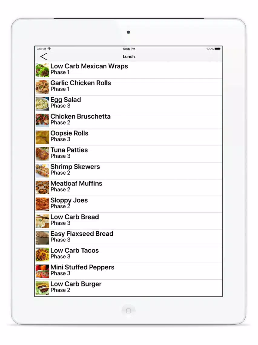 HCG Diet Recipes and More iPad  Screenshots