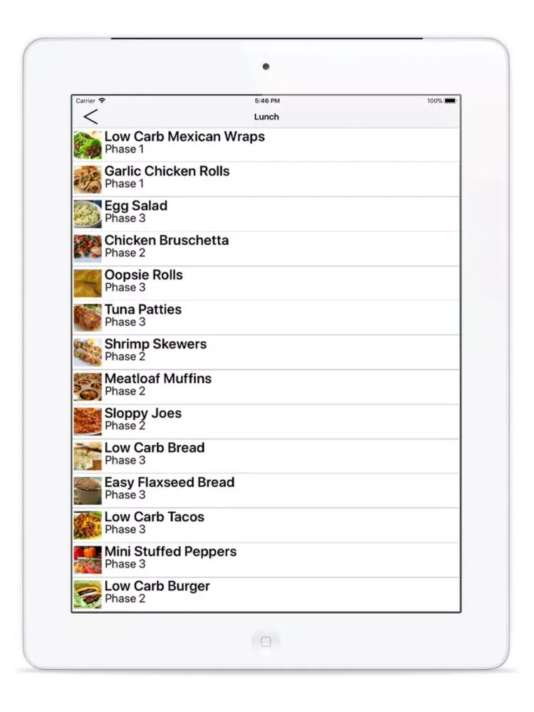 Ảnh chụp màn hình của HCG Diet Recipes and More iPad 