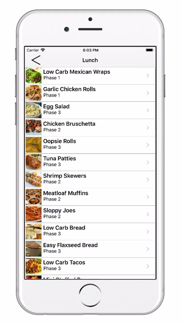 HCG Diet Recipes and More Screenshots