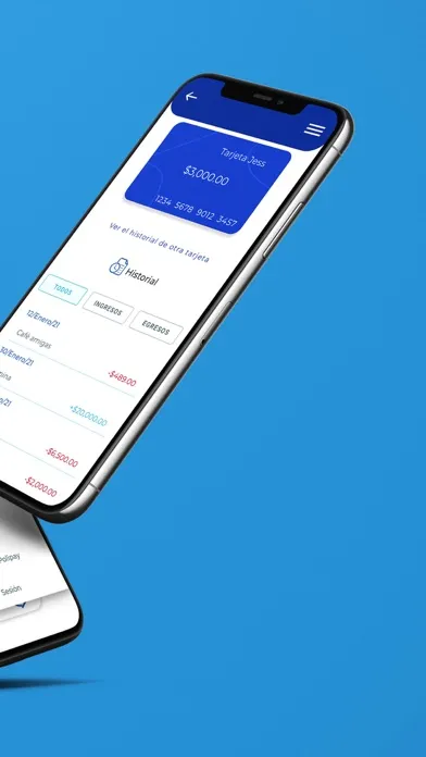 Polipay Dispersa Screenshots