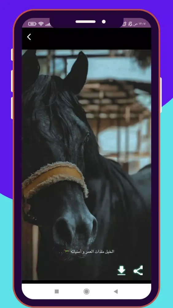 شعر بدوي : قصائد بدوية رائعة Screenshots