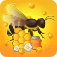 Bee Bee Honey Quest Bee Bee Honey Quest