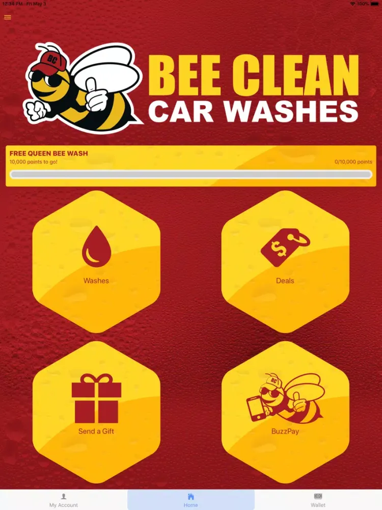 Bee Clean Car Wash iPad  Screenshots