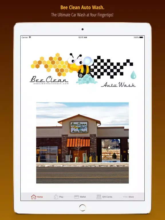 Bee Clean Auto Wash iPad  Screenshots