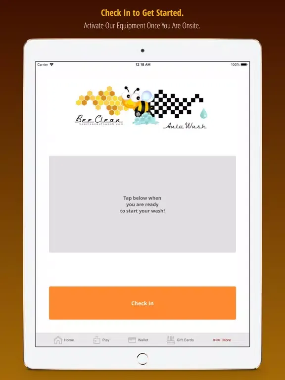 Bee Clean Auto Wash iPad  Screenshots