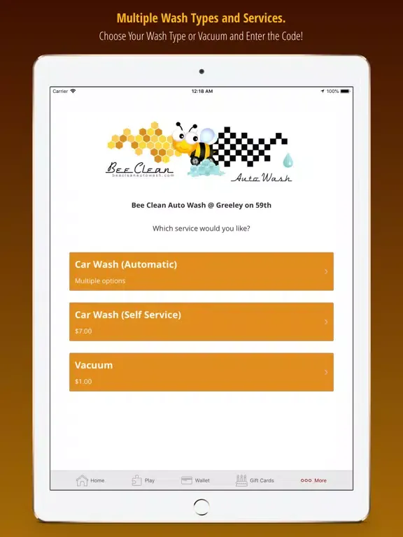 Bee Clean Auto Wash iPad  Screenshots