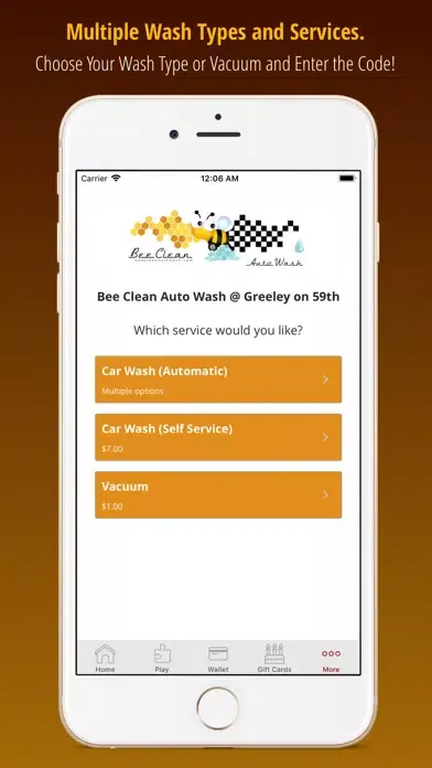Bee Clean Auto Wash Screenshots