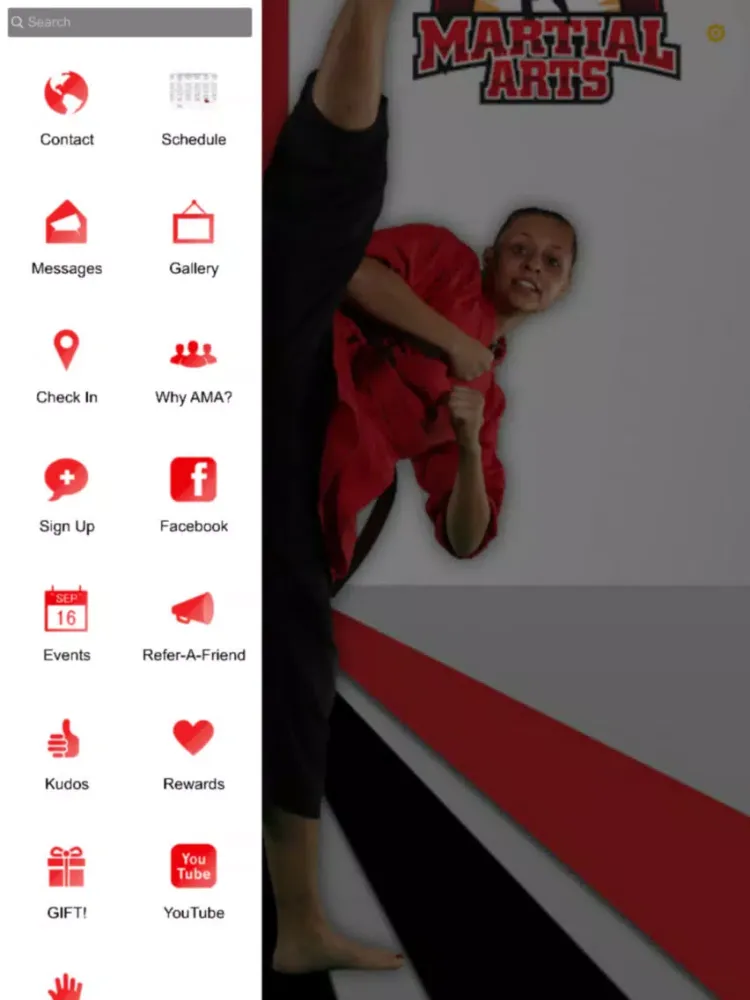 AMA Karate iPad  سکرین شاٹس