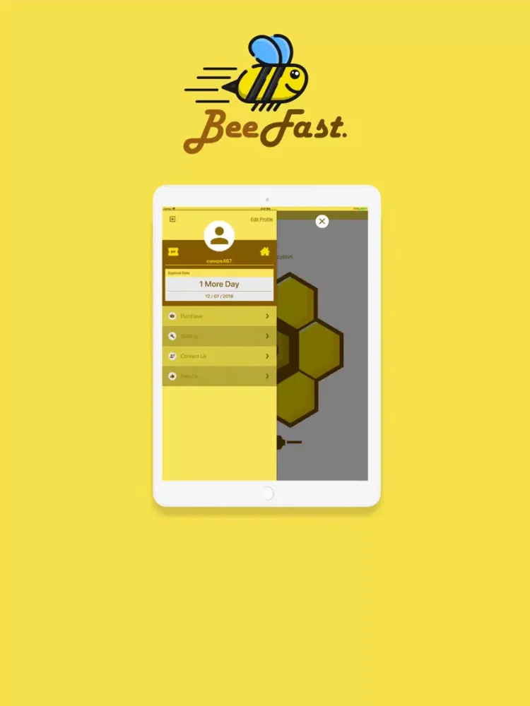 Скриншоты VPN - BeeFast VPN Master iPad 