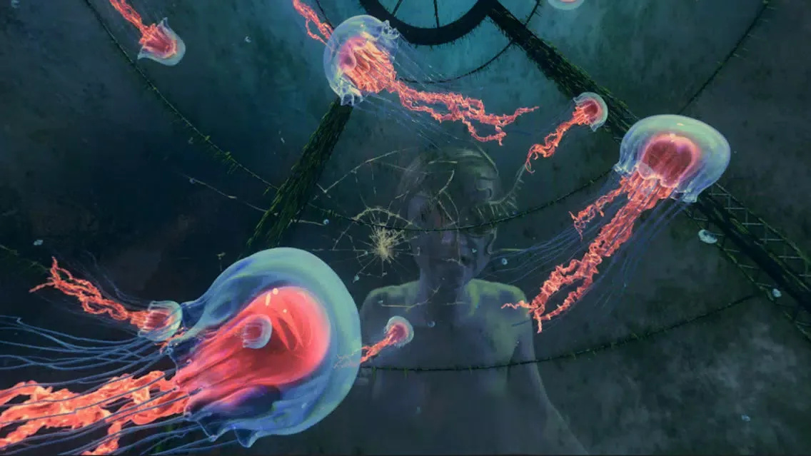 Capturas de pantalla de VR BeefeaterXO Eng for iPhone 5/5s