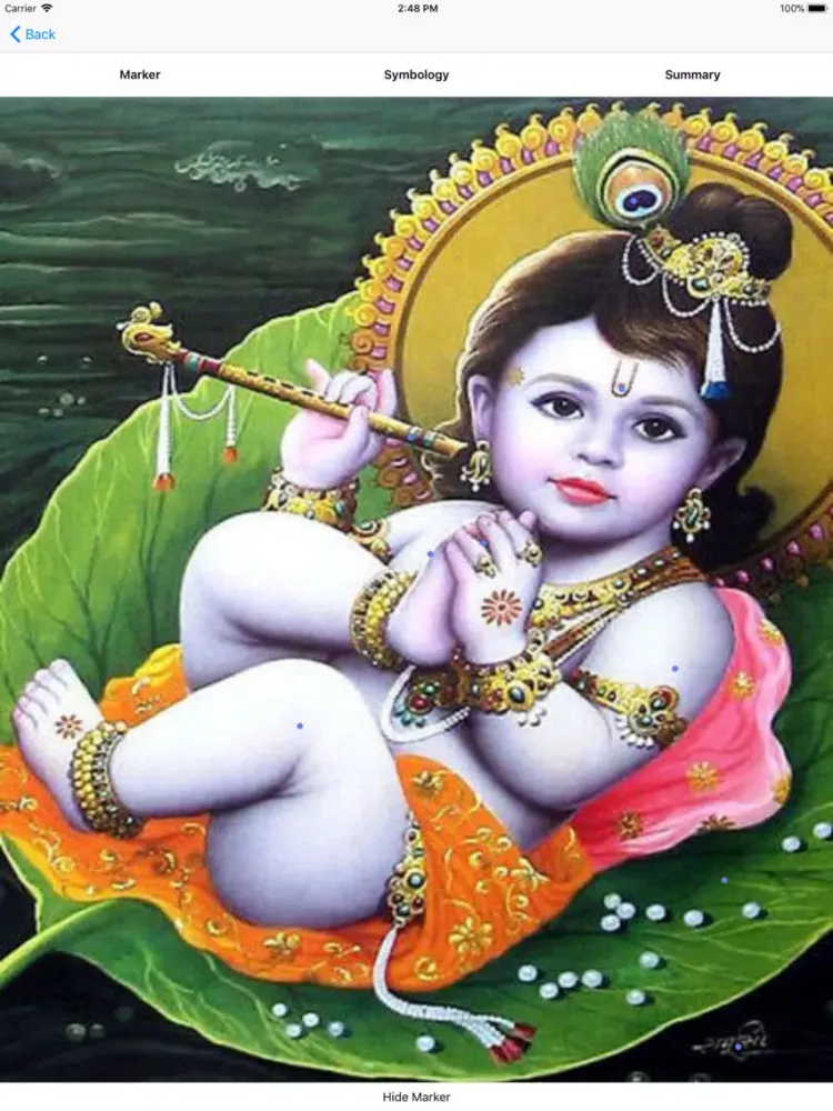 Hindu God Symbology iPad  स्क्रीनशॉट