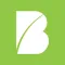 Beeline Contractor