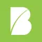 Beeline Manager