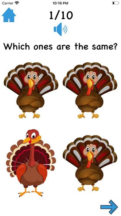 Same & Different All Year Long Screenshots