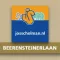 Beerensteinerlaan