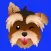 YorkieMoji 2017 - Yorkshire Emoji and Stickers