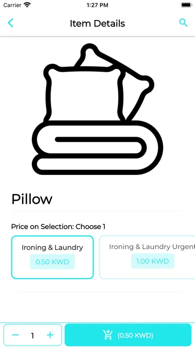 H2O International Laundry Screenshots